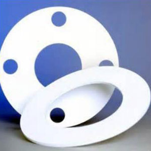PTFE Gasket